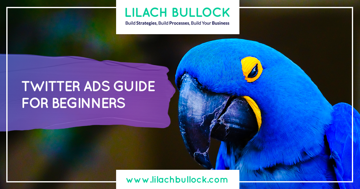 Twitter Ads Guide for Beginners - Types of Ads and How ...