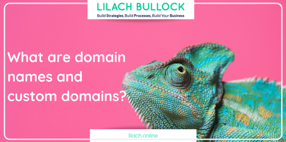 What are domain names and custom domains?