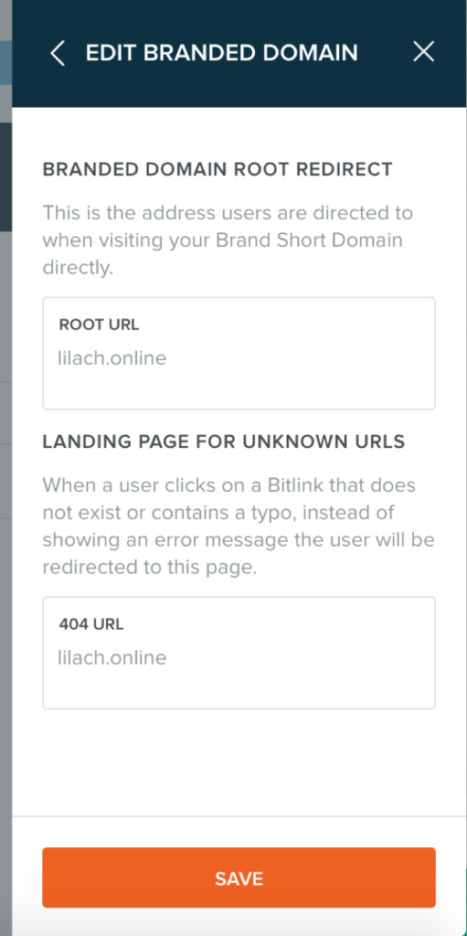 bit.ly branded domain screenshot